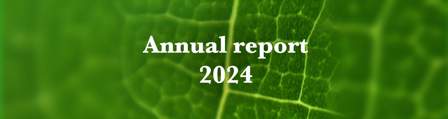Annual report 2024