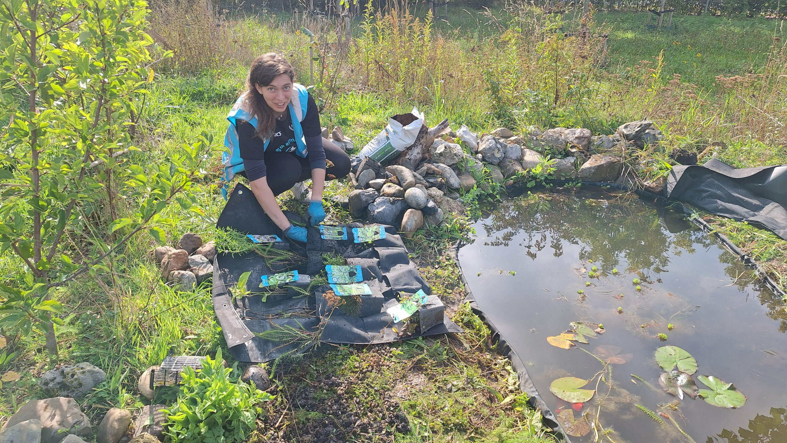 Vrijwilliger met blauw hesje knielt naast de waterpoel. Naast haar ligt een zwart doel met nieuwe waterplanten.