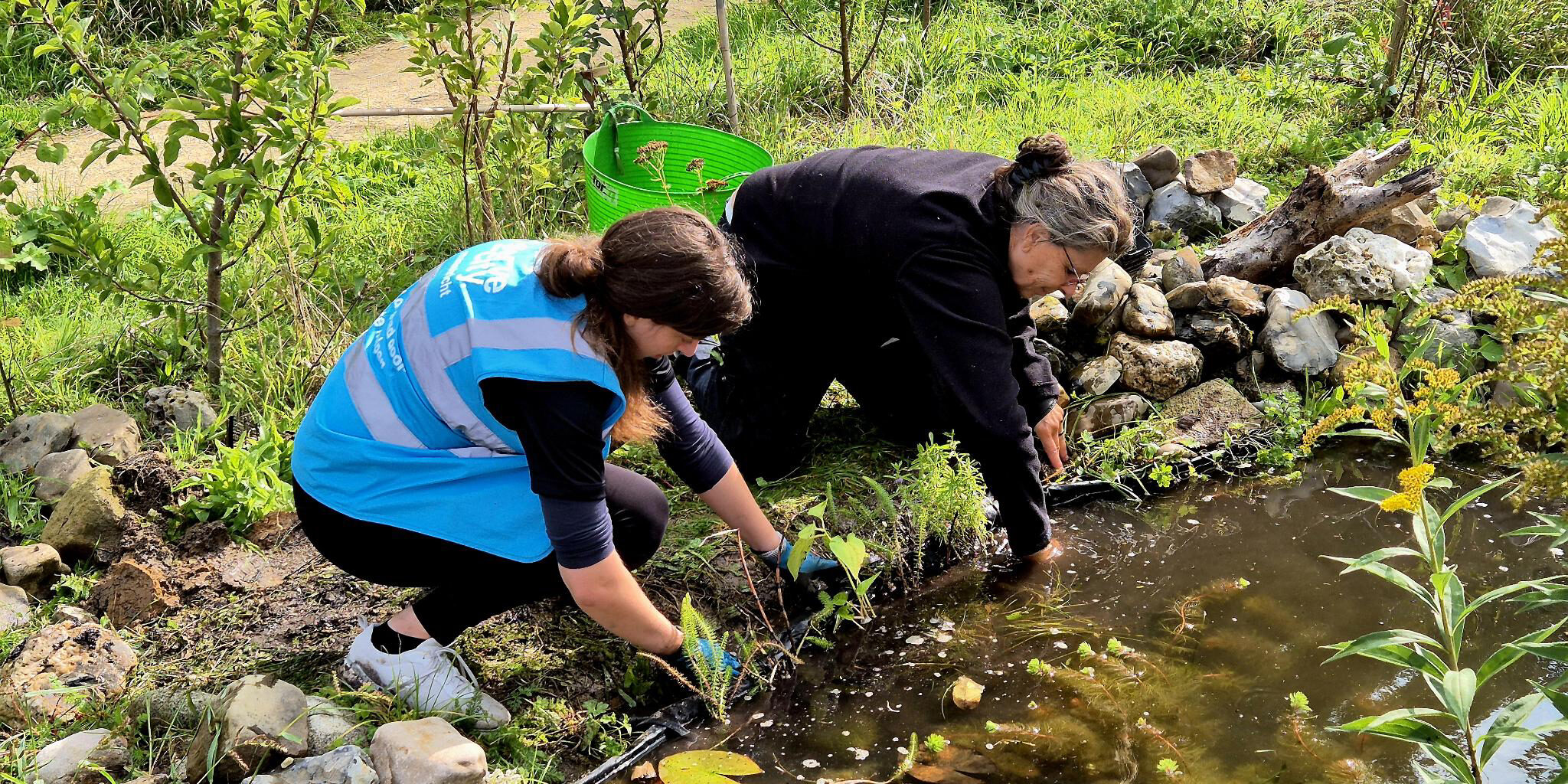 Twee klussers voegen nieuwe plantjes toe aan een waterpoel.
