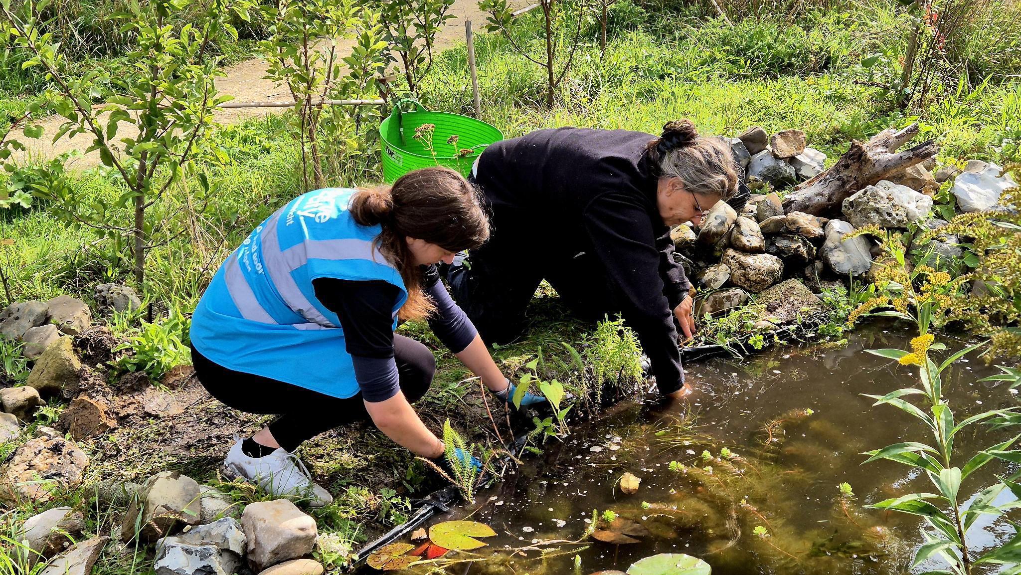 Twee klussers voegen nieuwe plantjes toe aan een waterpoel.