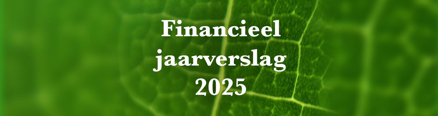 Financieel jaarverslag 2025