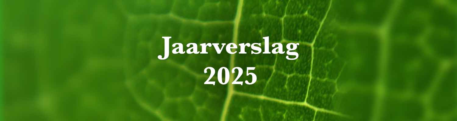 Jaarverslag 2025