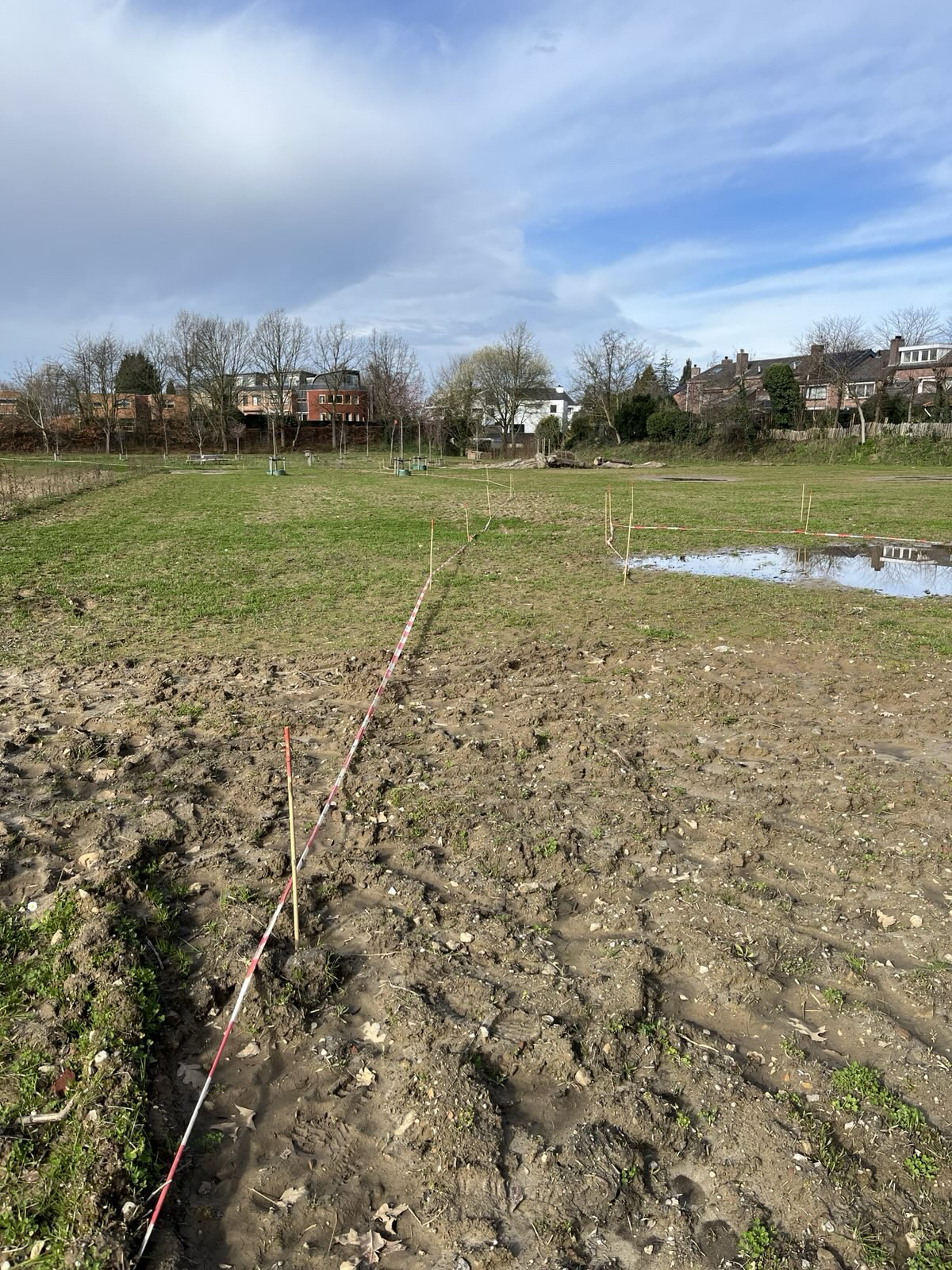 Grote veld 2024