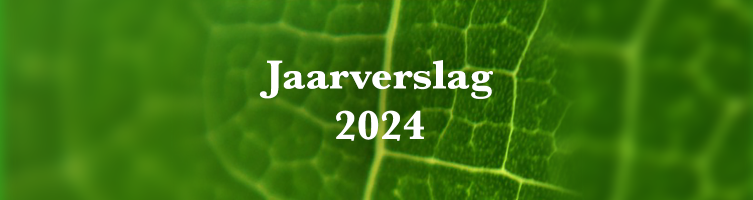 Jaarverslag 2024