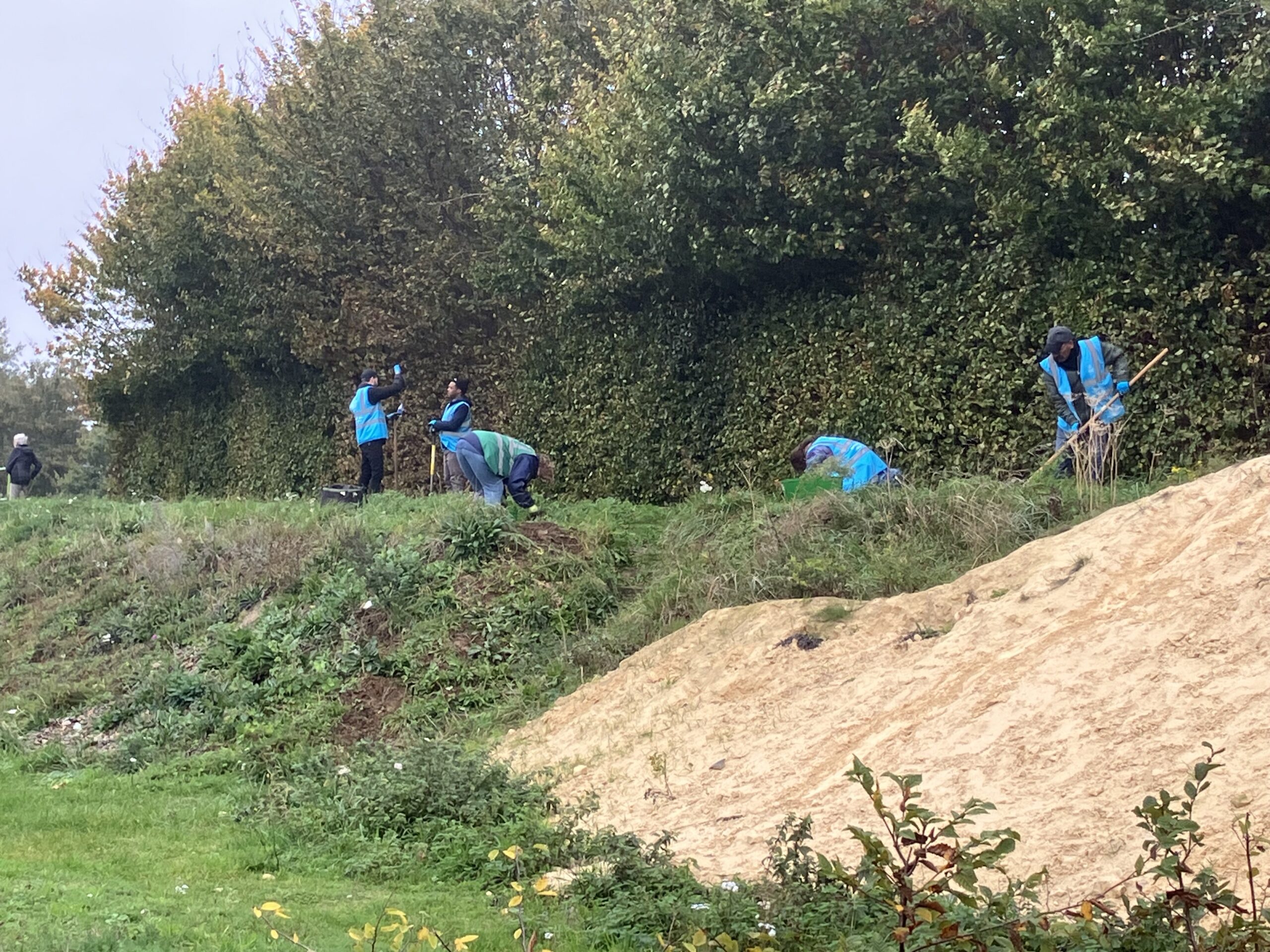 Vijf vrijwilligers in blauwe verstjes werken aan het pad op de heuvel.